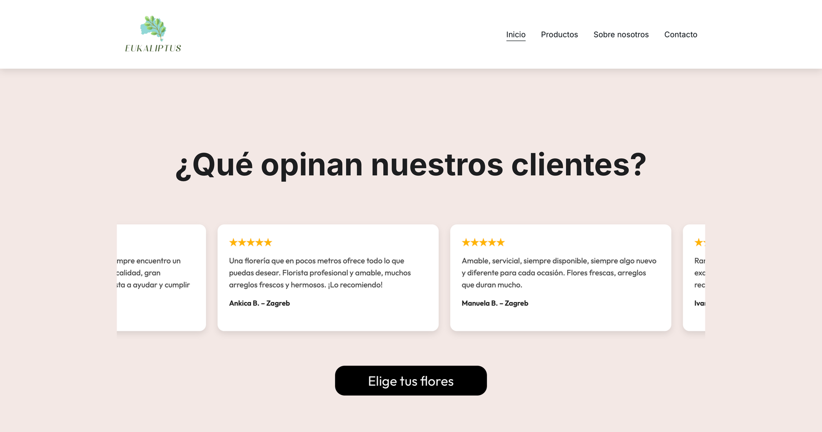 E-commerce web dizajn — online trgovina projekt
